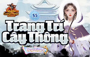 S5 - TRANG TRÍ CÂY THÔNG