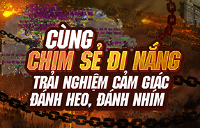 Chim Sẻ Đi Nắng và Võ Lâm Chính Tông